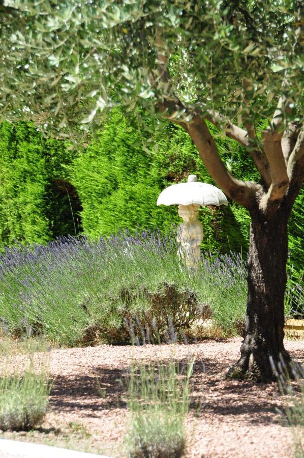 Le Jardin Des Amandiers Chateaurenard Exterior photo